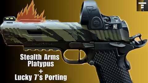 Stealth Arms Platypus and Monsoon Tactical’s Lucky 7’s Porting