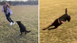 Pup goes absolutely crazy anytime someone starts running
