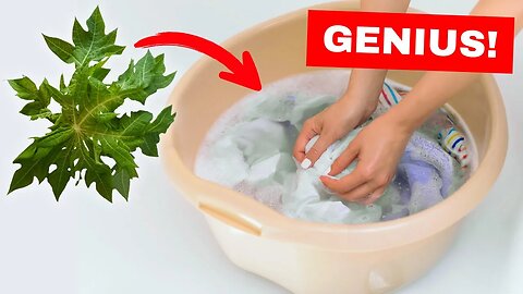 Put This Leaf On Your Clothes, And They'll Be Cleaner Than Ever!