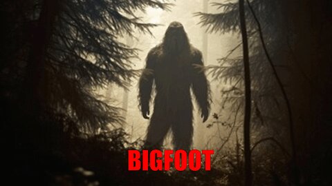 WONDERCAST EP.11- BIGFOOT (BIGFOOT & THE BIGFEET FAMILY) PART 3: LAW OF ONE BOOK 2 SESSIONS 37-38