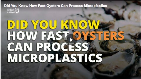 How fast oysters can process microplastics