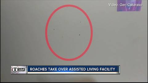 Cockroaches caught on video at Pinellas County Assisted Living Facility