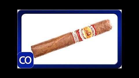 La Aurora Corojo Robusto Cigar Review