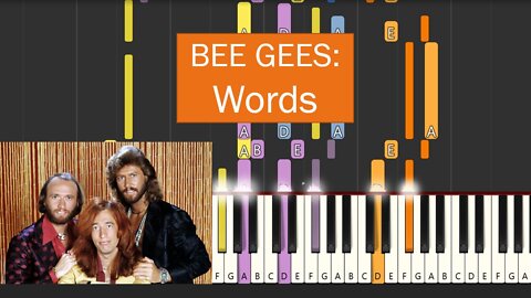 Bee Gees - Words (Keyboard and Organ Tutorial)