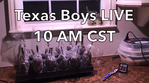 The Texas Boys LIVE 10AM CST