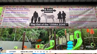 Naples Zoo reopens with new safety measures for visitors