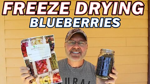 How We Freeze Dry And Store Blueberries