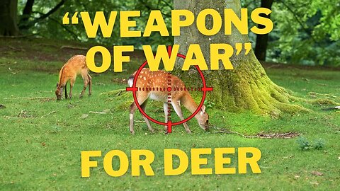 "Weapons Of War" To Be Used For Deer Cull -- A Lawyer Explains