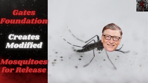 Genetically Modified Mosquitoes, Funded By Bill Gates, To Be Released in California & Florida
