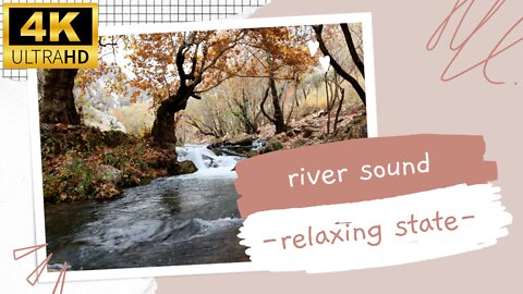 4K Forest Stream Relaxing River Sounds Nature Recording