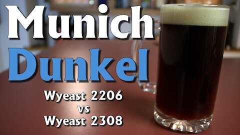 Munich Dunkel Recipe: Which Yeast Strain, Wyeast Bavarian 2206 or Munich 2308, is Better for Dunkel?