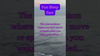 Beach Sleep Secret? 😴🏖️ | Surprising Fact Revealed! @AmbientNoiseCo. #beachvibes #facts #ocean