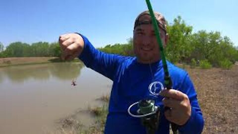 Catching micro catfish in Texas
