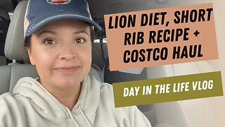 Lion Diet || short rib recipe || Costco haul || daily vlog #carnivorediet #animalbased #carnivoremom