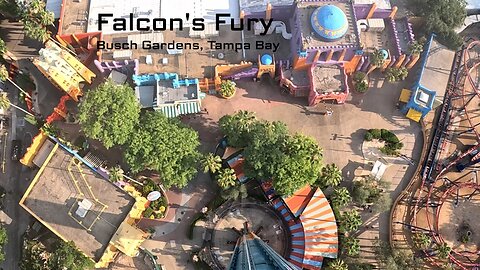 POV of FALCON'S FURY at Busch Gardens, Tampa Bay, Florida, USA
