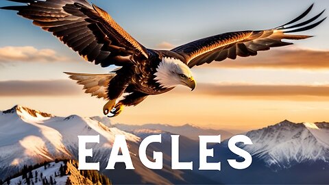 Majestic Eagles in Flight: Soaring Above the Mountains