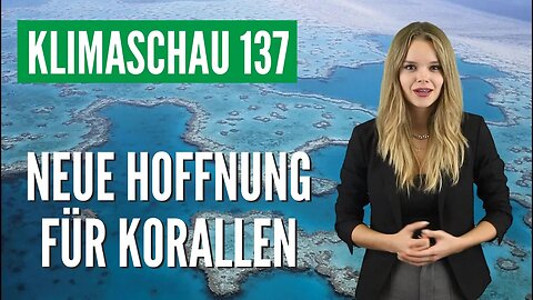 Korallenwunder: Korallen kommen mit marinen Hitzewellen besser zurecht als gedacht - Klimaschau 137