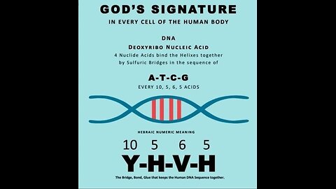 Our Creator's Name Is Written In Our DNA | Why Is His Name Removed From The Scriptures?
