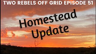 Update On The Homestead