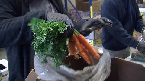 Bagging Farm Carrots & Cukes