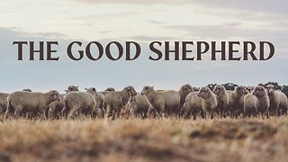 The Good Shepard