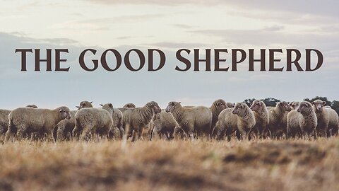 The Good Shepard