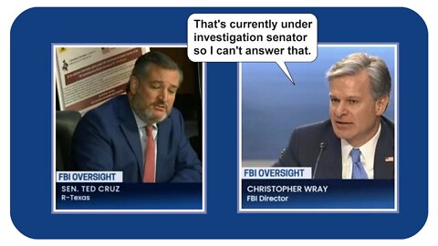Sen. Ted Cruz hammers FBI Director Chris Wray * 8-4-2022