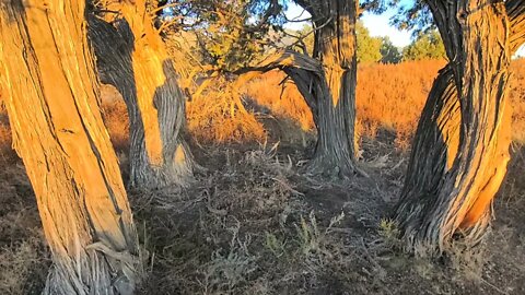 Ancient Portal into another Dimension, On Scene, Extreme Paranormal, Crestone Colorado