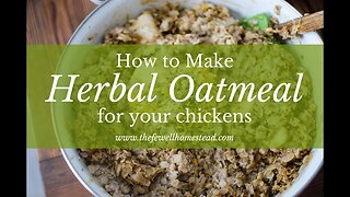 How to Make Herbal Oatmeal for Your Chickens