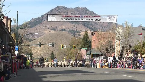 Sheep parade culminates the end of the 23rd Trailing of the Sheep festival in Ketchum