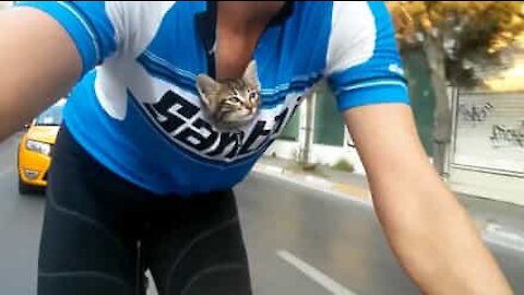 Ciclista trova gattino abbandonato e lo porta con sé dentro la maglia