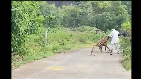 Hyena's attack on men😱😱