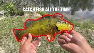 How to Fish canals in Florida!