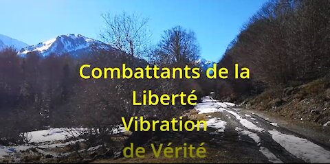 Combattants de la Liberté Vibration de Vérité