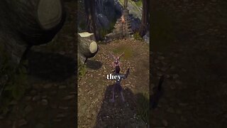 My First Quest in Fable Anniversary