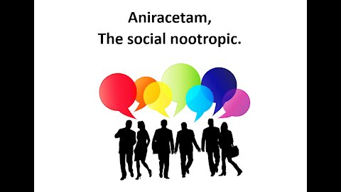 Aniracetam - Social Anxiety, Memory & Mood Repair & Enhancement