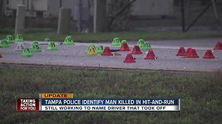 Police search for driver of fatal hit-and-run pedestrian crash on Adamo Drive in Tampa