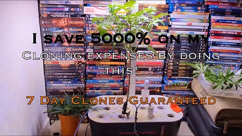 How I increased my Cloning Success, Save Time & LOTS of Money with the G12 Spider Farmer Cloner