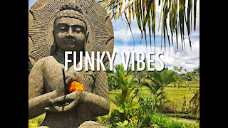 Funky Vibes In Bali