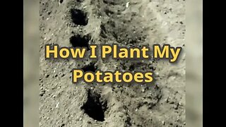 Gardening - How I Plant My Potatoes