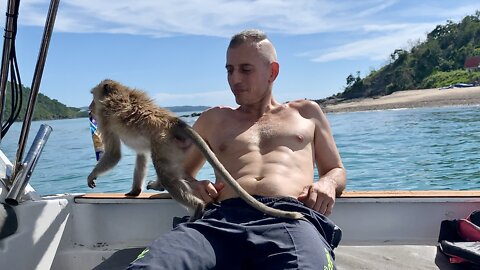 Monkey Island Thailand ~ Macaques Swim for Corn ~ Pattaya & Bang Saray
