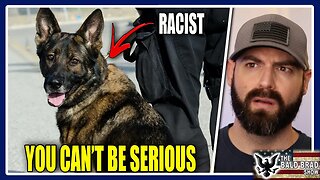 Dogs are racist now?