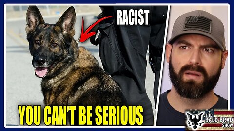 Dogs are racist now?