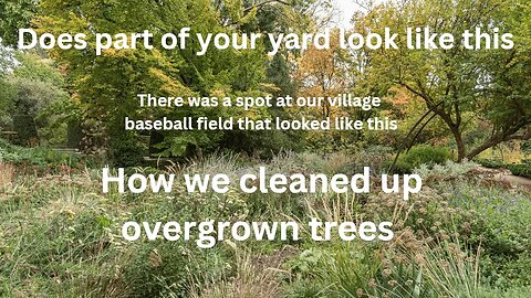 How to clean up overgrown trees