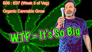 S06 E07 - Organic Cannabis Grow (Day #43) Week 3 of Veg & a New Gadget: BluMat Moisture Meter