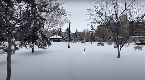Walking in Regina, March 29, 2024: A short walk in fresh snow