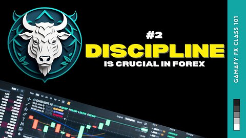 Discipline Is Crucial In Forex | Class 101