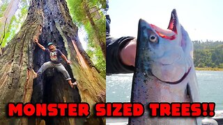 FISHING & Camping Adventure To The TALLEST TREES In The WORLD!! (Catch, Cook, Camp)