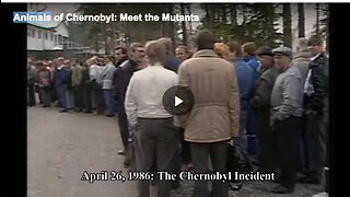 The mutant animals of Chernobyl