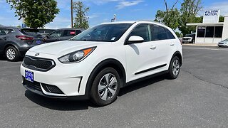 2019 Kia Niro Walk Around